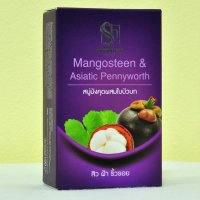 Sabunnga Natural Mangosteen Pennywort Soap